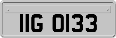 IIG0133
