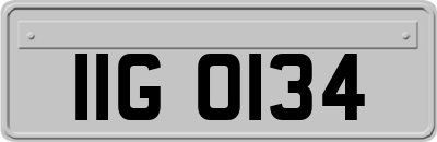 IIG0134