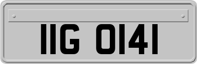 IIG0141