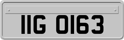 IIG0163