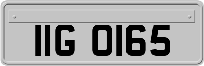 IIG0165