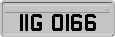 IIG0166