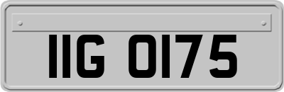 IIG0175