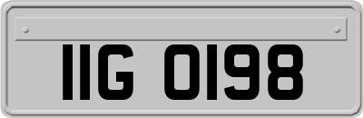 IIG0198