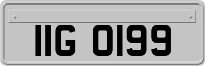 IIG0199
