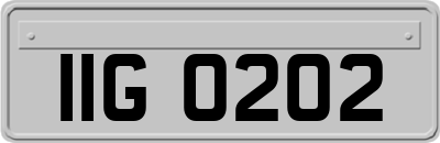 IIG0202