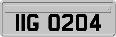 IIG0204