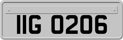 IIG0206