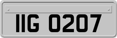 IIG0207