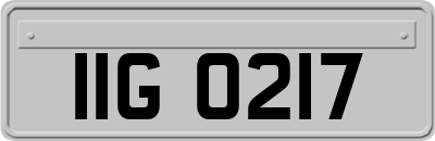 IIG0217