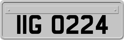 IIG0224
