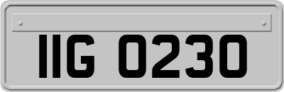 IIG0230