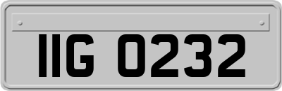IIG0232
