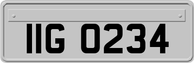 IIG0234