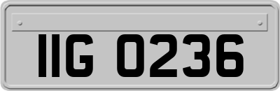 IIG0236