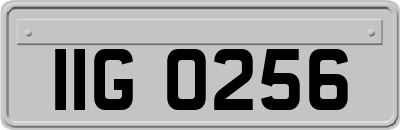 IIG0256