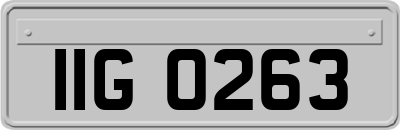 IIG0263