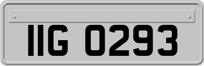 IIG0293