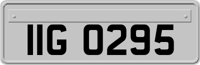 IIG0295