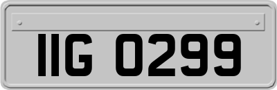 IIG0299