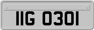 IIG0301