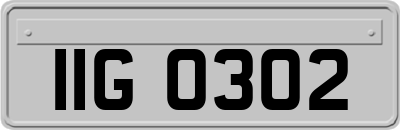 IIG0302