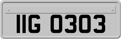 IIG0303