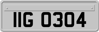 IIG0304