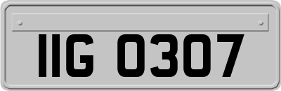 IIG0307
