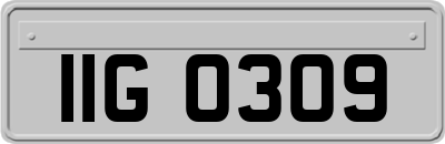 IIG0309