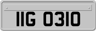 IIG0310