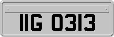 IIG0313