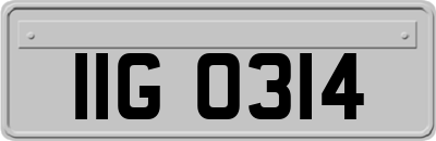 IIG0314