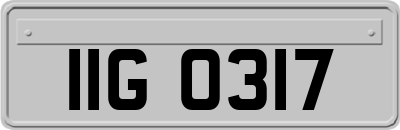 IIG0317