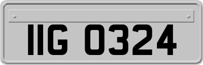 IIG0324