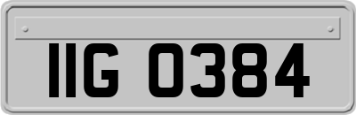 IIG0384