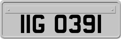 IIG0391