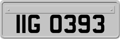 IIG0393