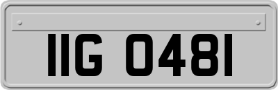 IIG0481