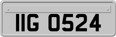 IIG0524