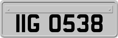 IIG0538