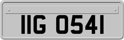 IIG0541