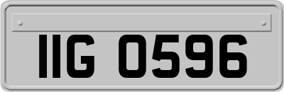 IIG0596