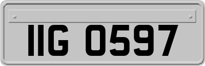 IIG0597