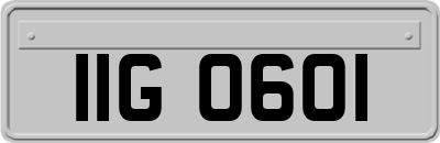 IIG0601