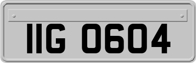 IIG0604