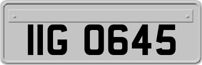 IIG0645