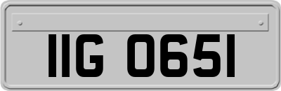 IIG0651