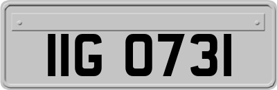 IIG0731