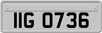 IIG0736